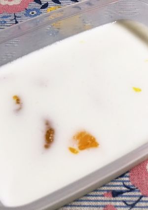 タッパー製の牛乳寒天-レシピのメイン写真