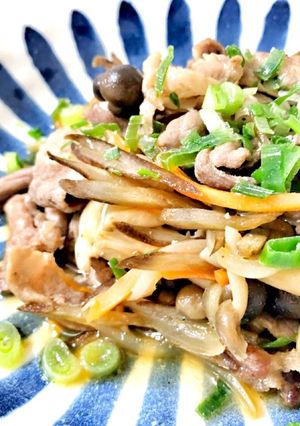 豚肉とごぼうの黒酢炒め-レシピのメイン写真