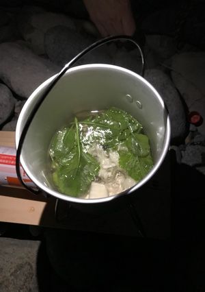 ハマダイコンの塩茹で-レシピのメイン写真