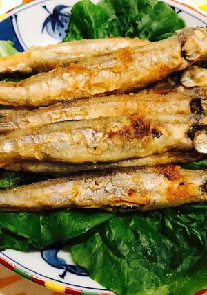 ししゃもの揚げ焼き-レシピのメイン写真