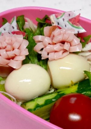 サラダ弁当に♡ピンチョス-レシピのメイン写真