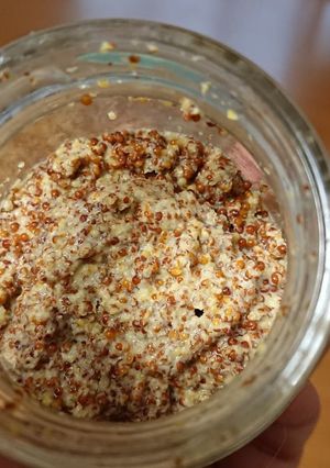 野生化のからし菜の種からマスタード作り-レシピのメイン写真