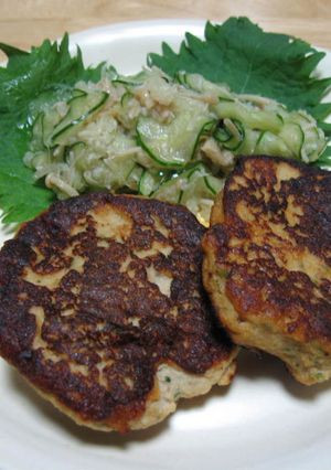 ＦＰ使用♫イソフラボン♬イカバーグ-レシピのメイン写真