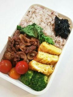 お弁当(5/21)豚のしょうが焼き-レシピのメイン写真