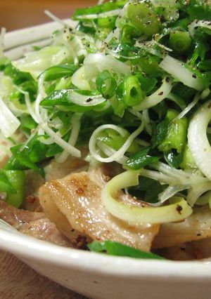 豚バラ肉にタップリネギをのせて！-レシピのメイン写真