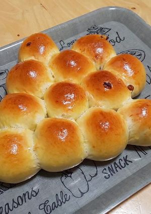 ふわふわ しっとり ぶどうパン-レシピのメイン写真