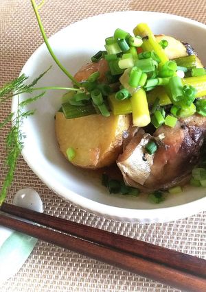 鯖缶とじゃが芋のオイスター煮-レシピのメイン写真