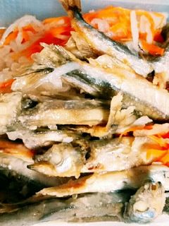 食欲増し増し❤ししゃもの南蛮漬け-レシピのメイン写真