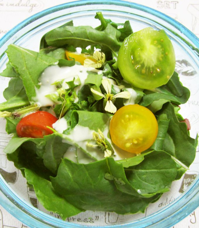 ルッコラのサラダ by Gonbao 【クックパッド】 簡単おいしいみんなの