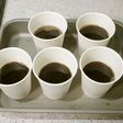 常温で固まる、紙コップコーヒーゼリー