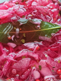 ピクルス(レッドオニオンver)-レシピのメイン写真