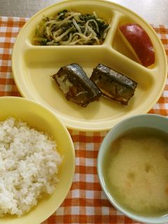 豆乳みそ汁-レシピのメイン写真