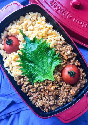 タコスミートでそぼろ弁当-レシピのメイン写真