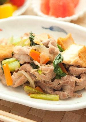 豚肉と厚揚げの生姜焼き⁂ポン酢でさっぱり-レシピのメイン写真
