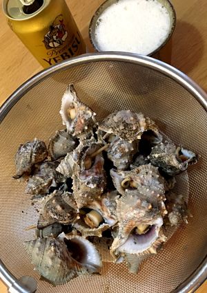 ほら貝の塩茹で【激安】-レシピのメイン写真