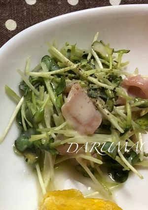 カイワレと生ハムのヨーグルトサラダ-レシピのメイン写真