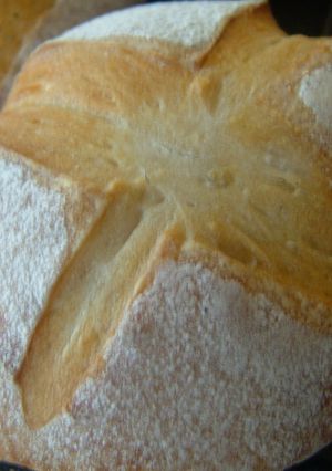 無農薬バナナの皮の元ダネ作りの初パン-レシピのメイン写真