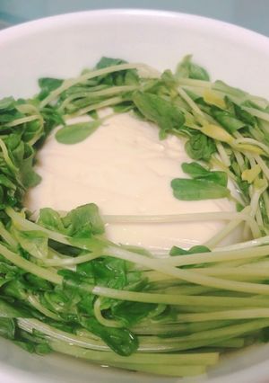 つわり中♡さっぱり豆苗レンジ湯豆腐-レシピのメイン写真