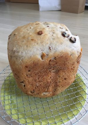 ＨＢクランベリーとナッツの玄米雑穀パン-レシピのメイン写真