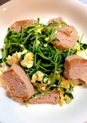 豆苗のチャンプル-レシピのメイン写真