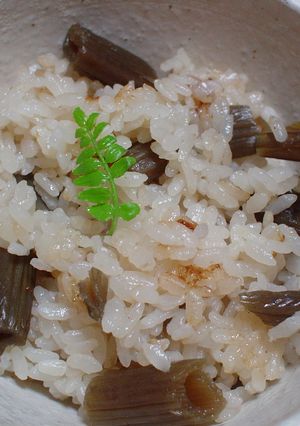 春の香り きゃらぶきご飯-レシピのメイン写真