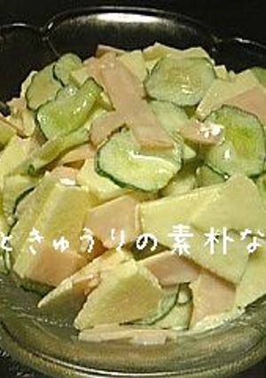 林檎ときゅうりの素朴なサラダ-レシピのメイン写真