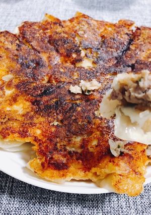 オートミール入りチーズ羽付き餃子-レシピのメイン写真