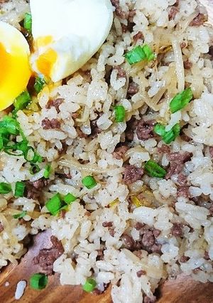 具材は2つのみ!!ひき肉ともやしの炒飯-レシピのメイン写真