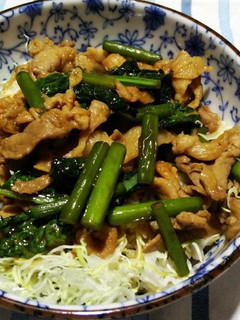 豚肉とニンニクの芽の旨辛丼-レシピのメイン写真