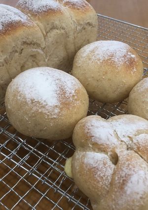 チーズジャガイモパン 自家製酵母-レシピのメイン写真