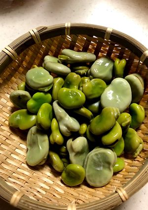 そら豆の食べ方グリルで簡単-レシピのメイン写真