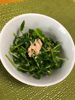 ☆ごま油香る豆苗とツナの和え物☆-レシピのメイン写真