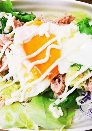 のっけるだけ!ツナ缶丼-レシピのメイン写真