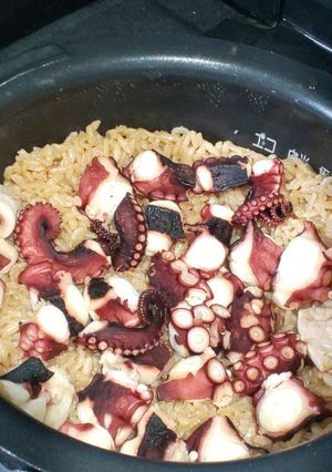 美味しいタコ飯♪-レシピのメイン写真
