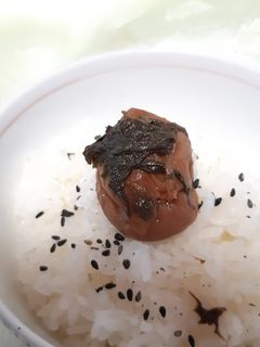 私の梅仕事~昔ながらの梅干し、少し減塩~-レシピのメイン写真