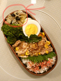 お弁当に♡春きゃべつのシラス炒め-レシピのメイン写真