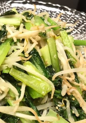 ベジ料理☆もやしと小松菜の胡麻味噌炒め-レシピのメイン写真