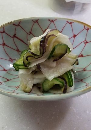 即席の浅漬け-レシピのメイン写真