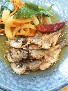 鯵の南蛮漬け-レシピのメイン写真