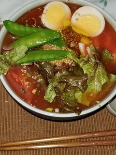 サッポロ一番冷やし塩ラーメン-レシピのメイン写真
