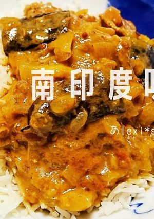 本格！？南インドのチキンカレー☆茄子もね-レシピのメイン写真