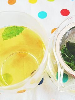 ハーブティー♪摘みたてミントティー!-レシピのメイン写真