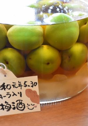 令和元年テキーラ梅酒-レシピのメイン写真