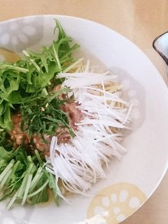 タレも自家製!美味!!納豆梅冷やし中華♪-レシピのメイン写真