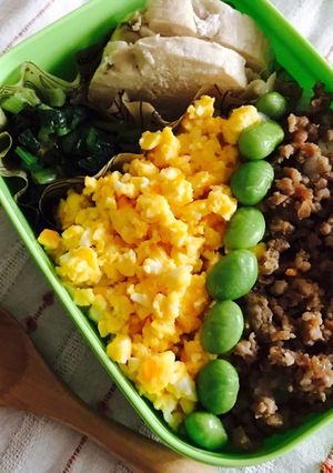 そぼろ弁当-レシピのメイン写真