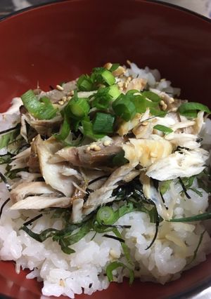意識低いさばごはん-レシピのメイン写真