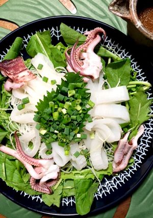 剣先イカのお刺身サラダ-レシピのメイン写真