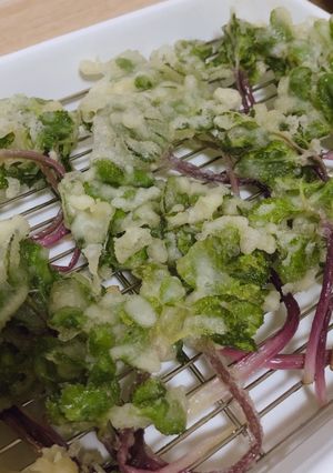 簡単サックサク天ぷら〜ぼうふう・山菜〜-レシピのメイン写真