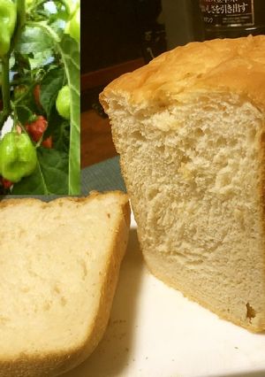 世界四位辛いとうがらしハバネロ入り食パン-レシピのメイン写真