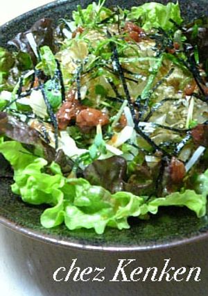 ■Healthy■大根と梅肉の和風サラダ-レシピのメイン写真